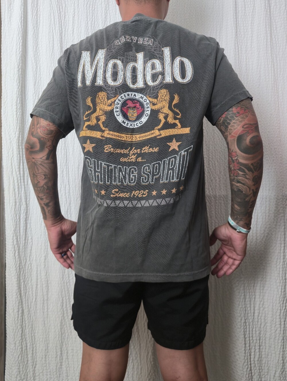 Modelo Cerveza Shirt Large